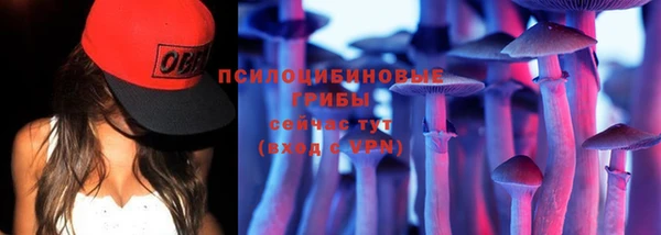 стаф Алзамай