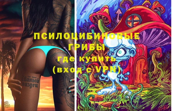 ECSTASY Алексеевка